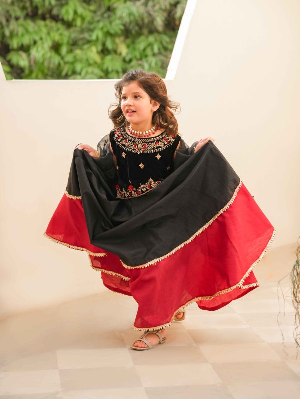 Erha lehnga choli