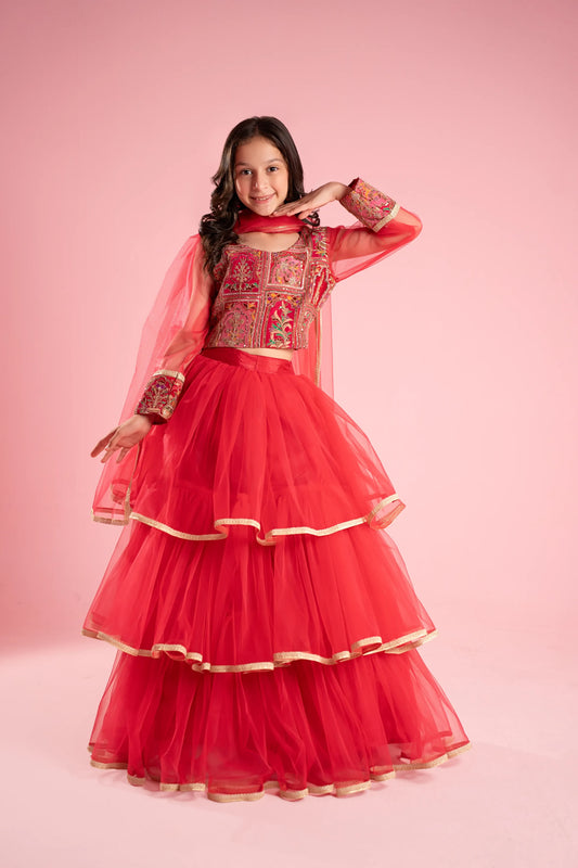 Rosy Red Embroidered Flared Gown