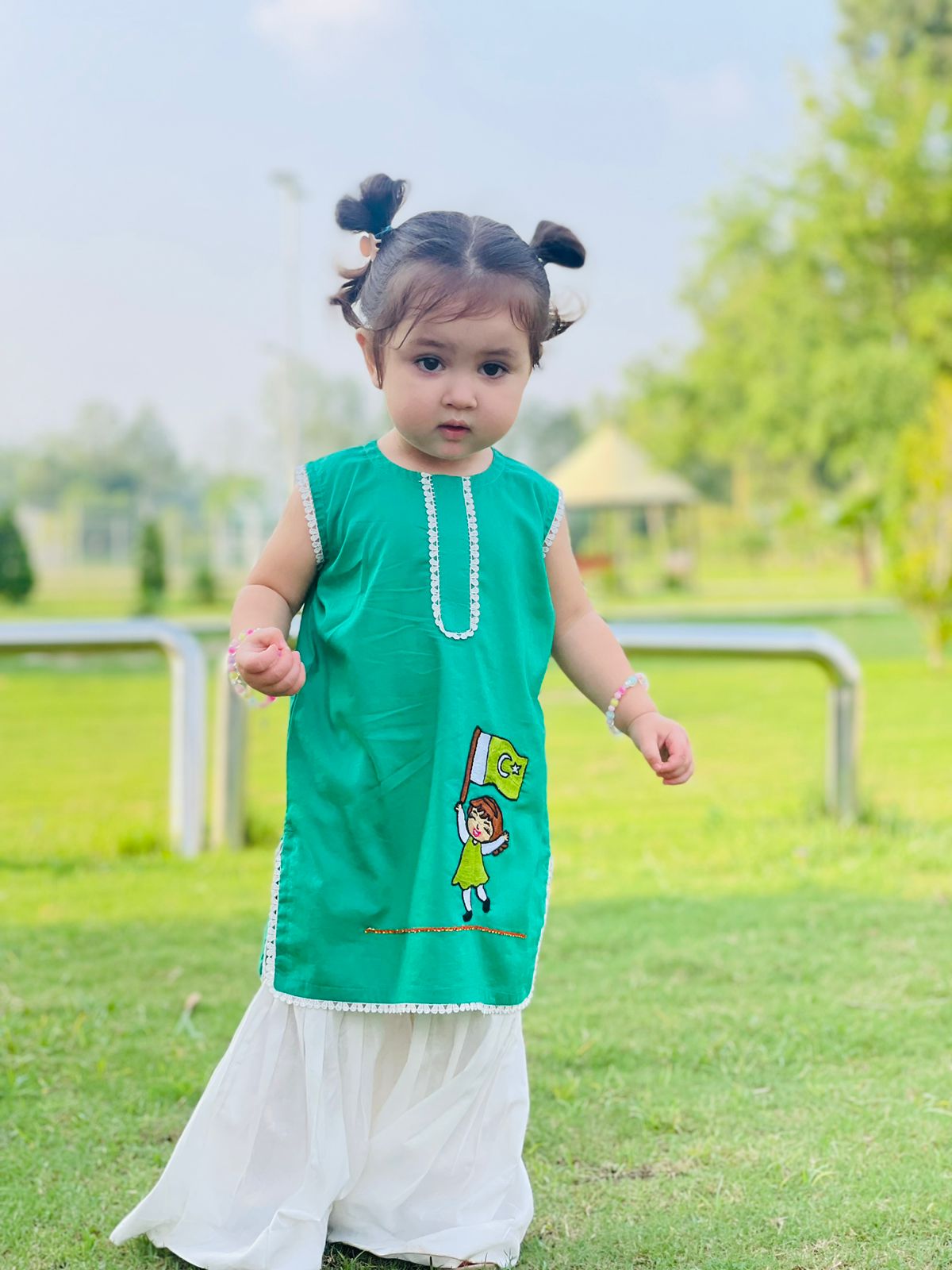 Azaadi outfit hand embroidered