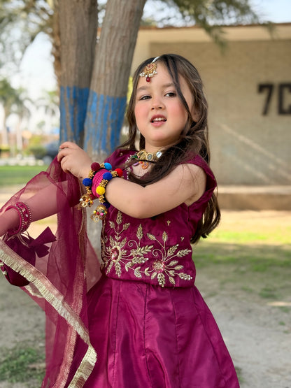 Hibah Lehnga choli