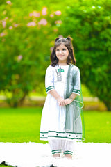 Azaadi outfit Hand Embroided