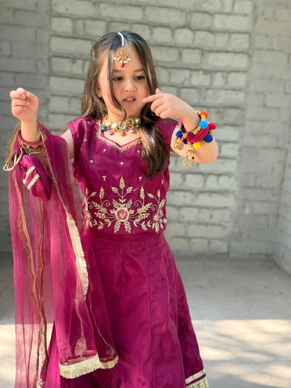 Hibah Lehnga choli
