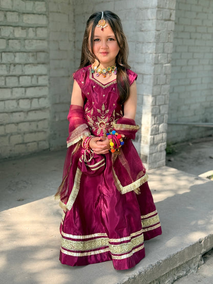 Hibah Lehnga choli
