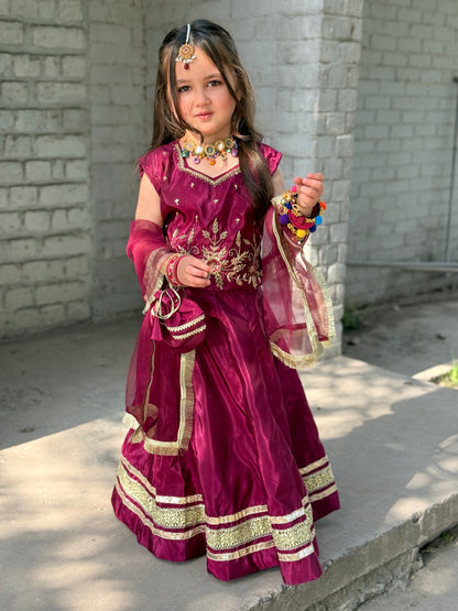 Hibah Lehnga choli