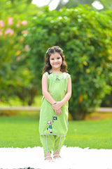 Azaadi outfit Hand Embroided