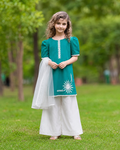 Azaadi  miror charm outfit