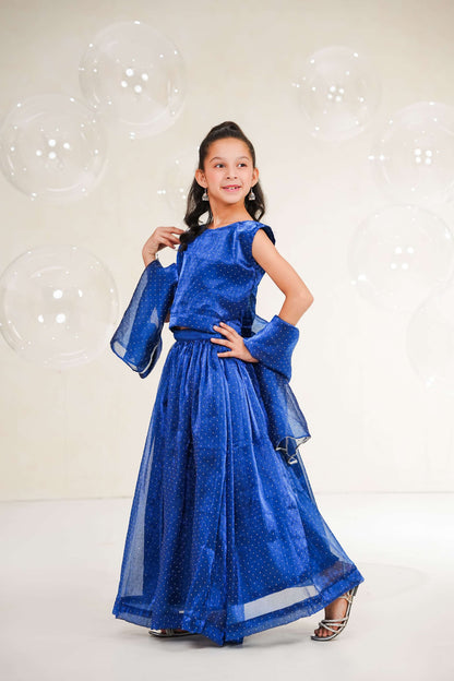 Royal Blue Lehenga
