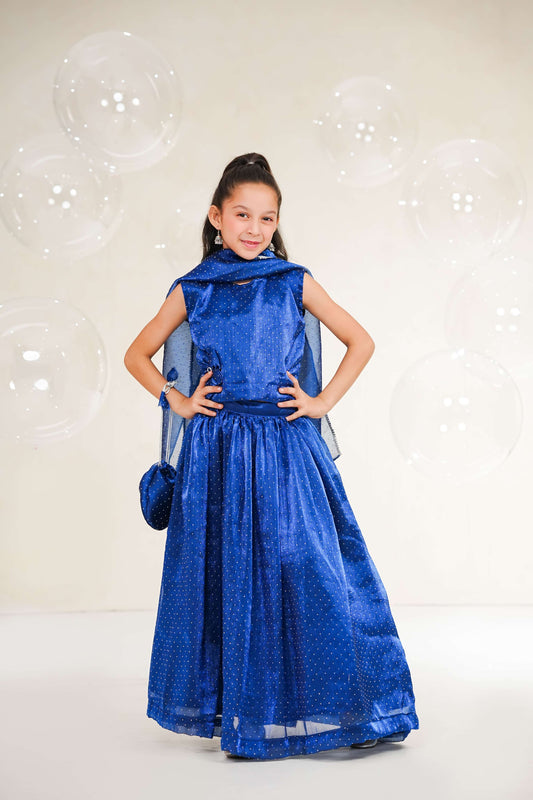Royal Blue Lehenga