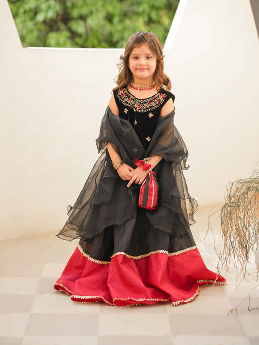 Erha lehnga choli