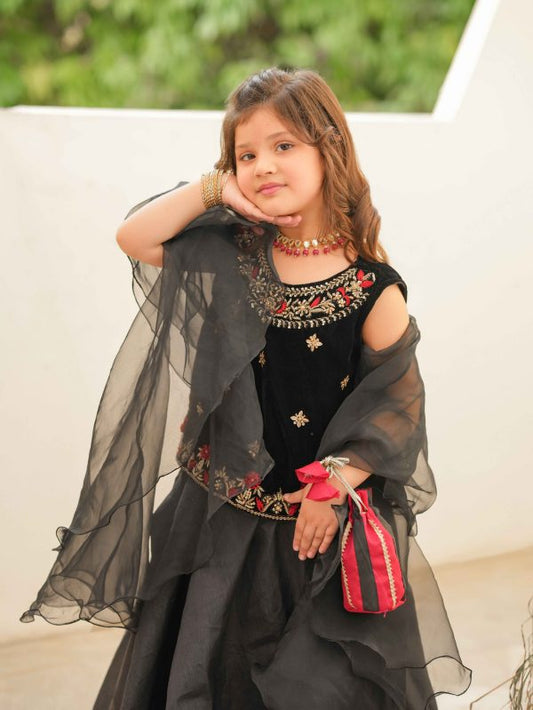 Erha lehnga choli