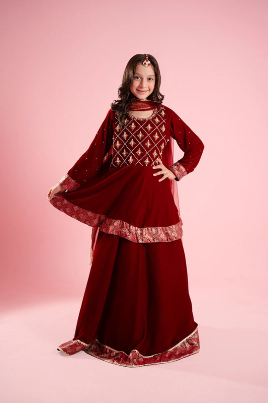 Maroon Embroidered Flared Festive Dress