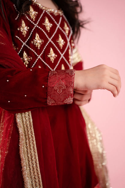 Maroon Embroidered Flared Festive Dress