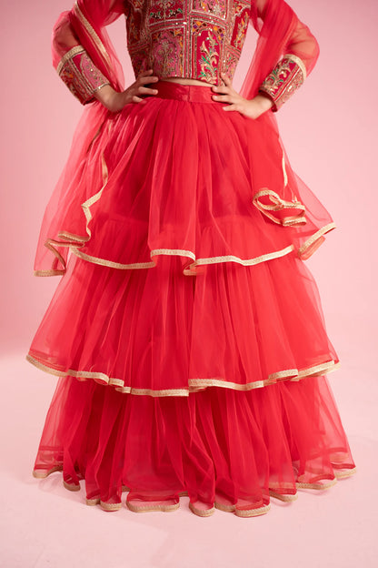 Rosy Red Embroidered Flared Gown