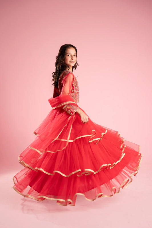 Rosy Red Embroidered Flared Gown