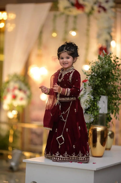Maroon Embroidered Lehnga Choli