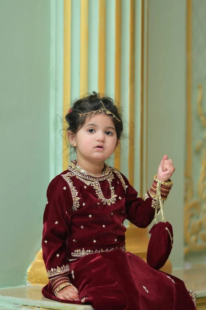 Maroon Embroidered Lehnga Choli