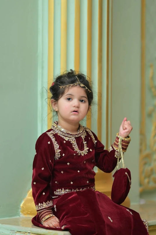 Maroon Embroidered Lehnga Choli