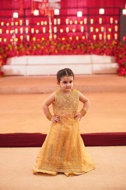 Royal Mustard Handcrafted Embroidered Lehenga Set for Girls