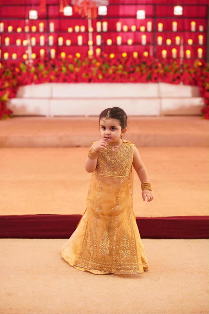 Royal Mustard Handcrafted Embroidered Lehenga Set for Girls